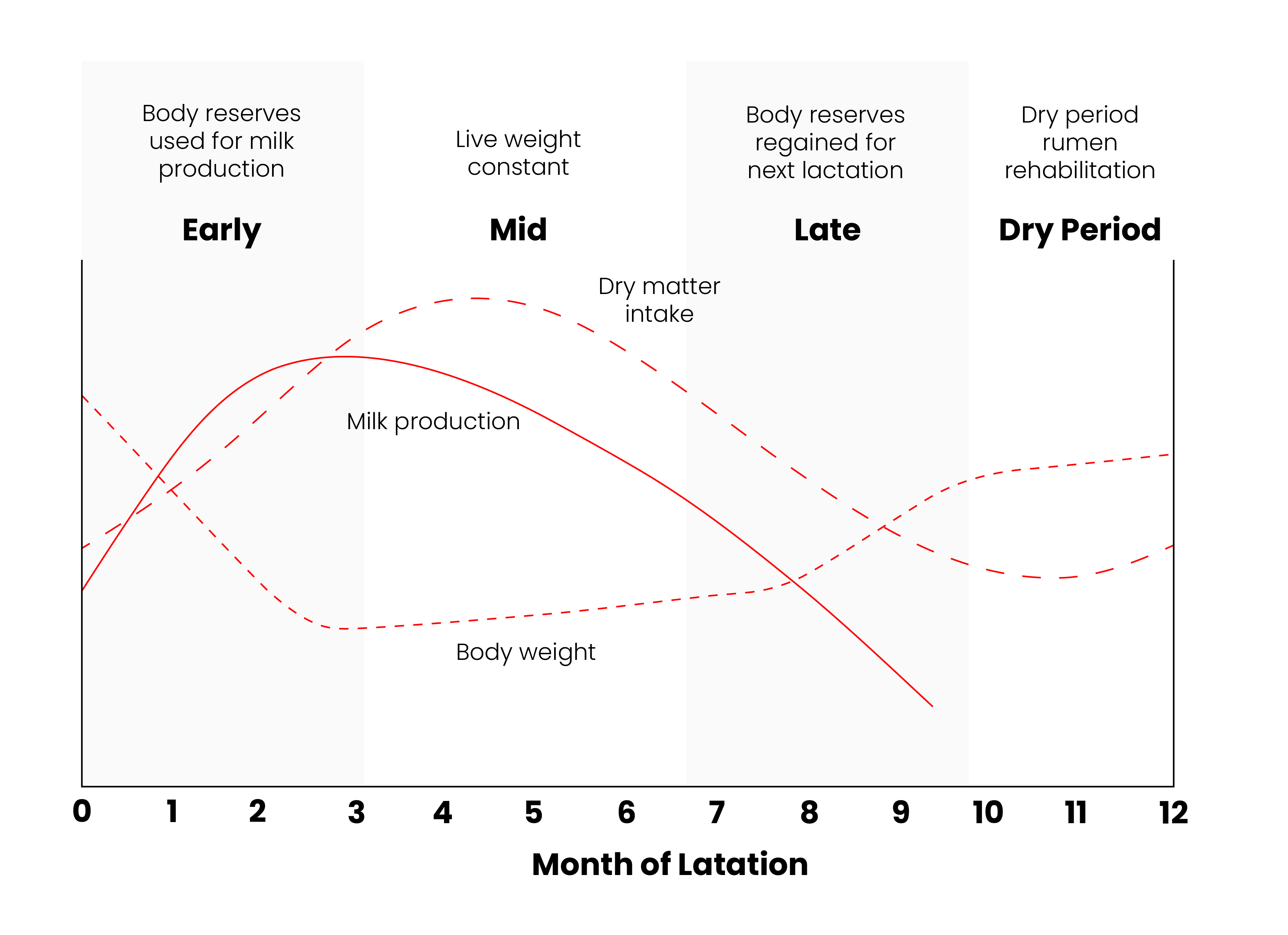Lactation Graph